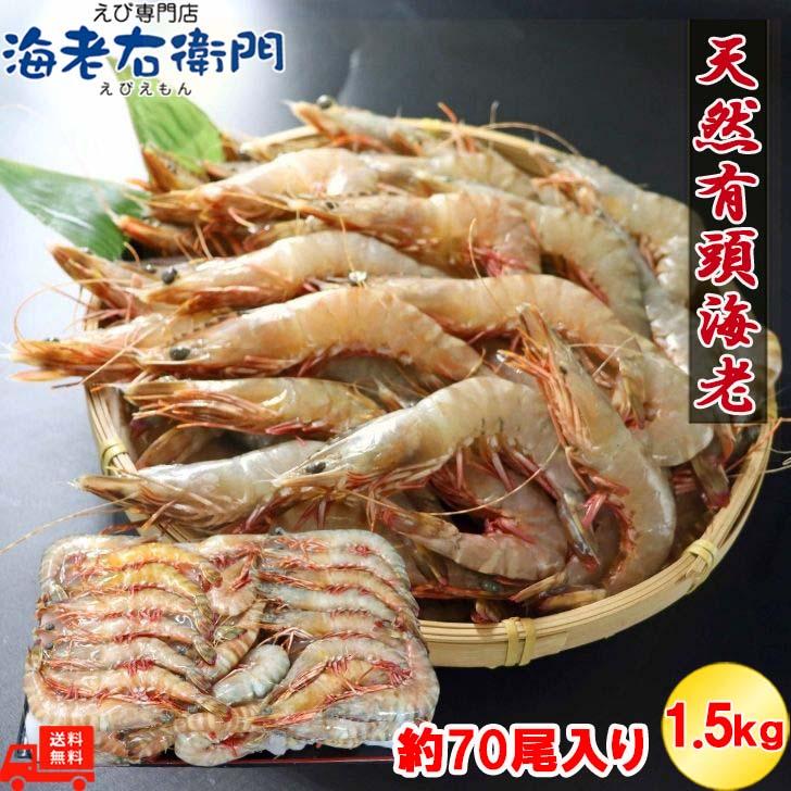 天然有頭海老 1.5kg 70尾 長さ13cm級! 冷凍えび スリランカ 天然有頭海老 1.5kg 70尾 長さ13cm級! 冷凍えび スリランカ