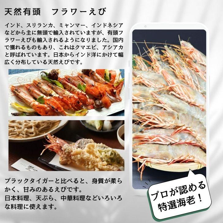 天然有頭海老 1.5kg 70尾 長さ13cm級！ 冷凍えび スリランカ バーベキュー エビフライ 塩焼き 天ぷら おせち 海鮮 天然えび 業務用 |  | 08