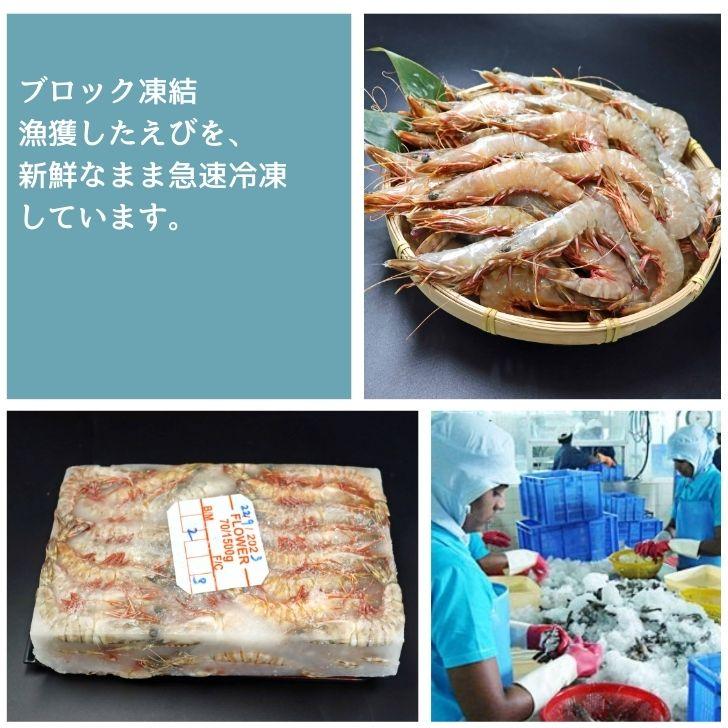 天然有頭海老 1.5kg 70尾 長さ13cm級！ 冷凍えび スリランカ バーベキュー エビフライ 塩焼き 天ぷら おせち 海鮮 天然えび 業務用 |  | 09