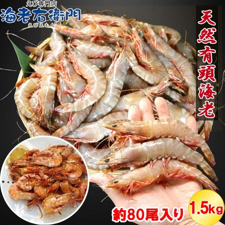 天然有頭海老 1.5kg 80尾 長さ12cm〜13cm！ 冷凍えび スリランカ バーベキュー エビフライ 塩焼き 天ぷら おせち 海鮮 天然えび 業務用 | 