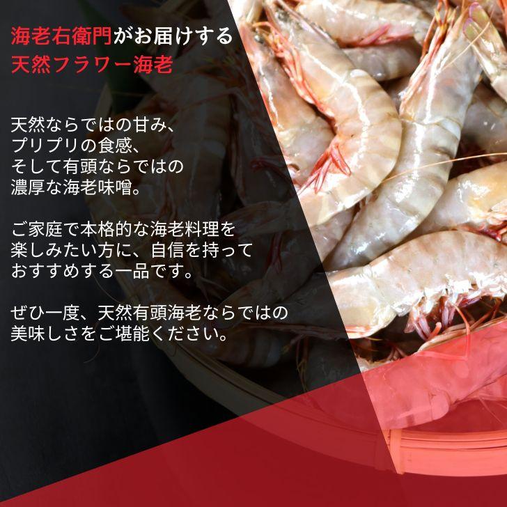 天然有頭海老 1.5kg 80尾 長さ12cm〜13cm！ 冷凍えび スリランカ バーベキュー エビフライ 塩焼き 天ぷら おせち 海鮮 天然えび 業務用 |  | 07