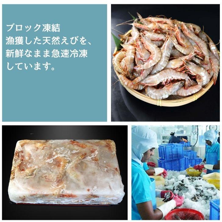 天然有頭海老 1.5kg 80尾 長さ12cm〜13cm！ 冷凍えび スリランカ バーベキュー エビフライ 塩焼き 天ぷら おせち 海鮮 天然えび 業務用 |  | 03