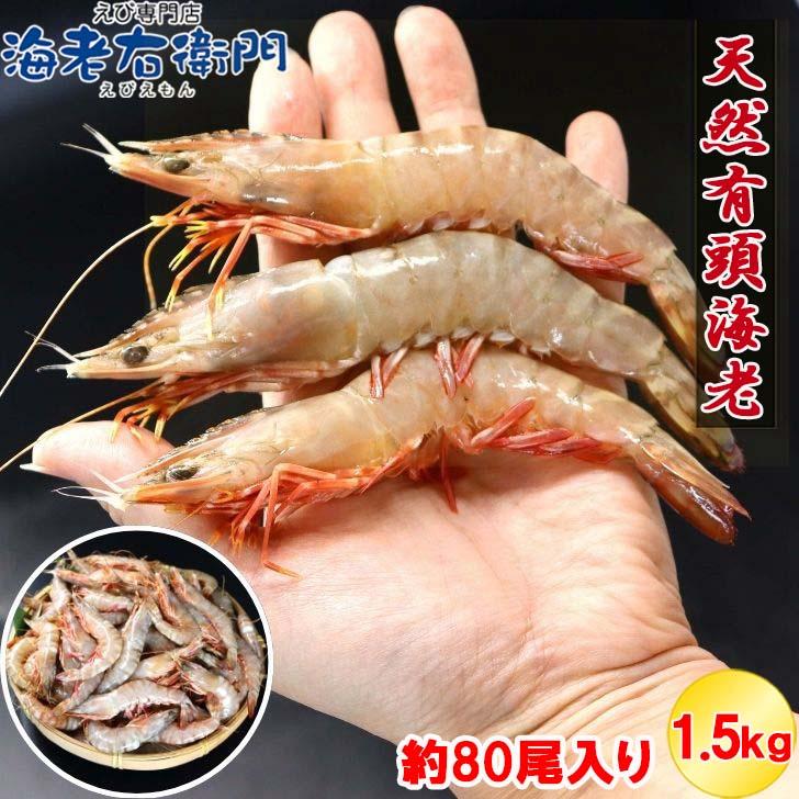 天然有頭海老 1.5kg 80尾 長さ12cm〜13cm！ 冷凍えび スリランカ バーベキュー エビフライ 塩焼き 天ぷら おせち 海鮮 天然えび 業務用 |  | 01