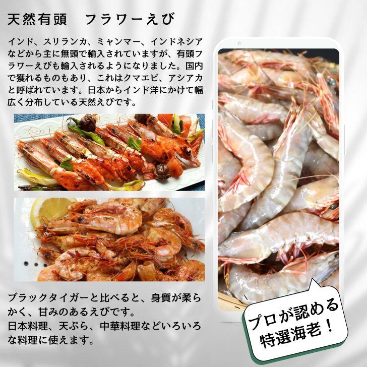天然有頭海老 1.5kg 80尾 長さ12cm〜13cm！ 冷凍えび スリランカ バーベキュー エビフライ 塩焼き 天ぷら おせち 海鮮 天然えび 業務用 |  | 04