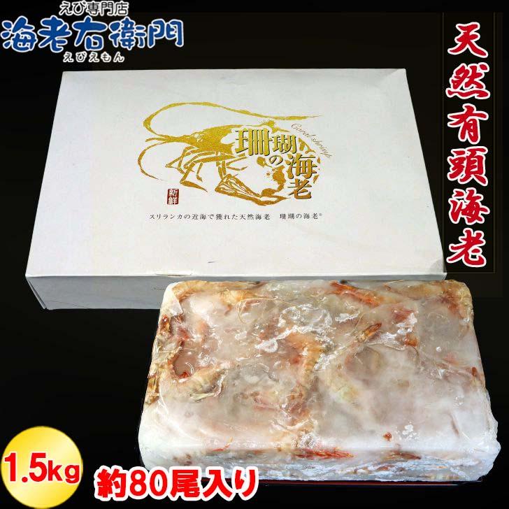 天然有頭海老 1.5kg 80尾 長さ12cm〜13cm！ 冷凍えび スリランカ バーベキュー エビフライ 塩焼き 天ぷら おせち 海鮮 天然えび 業務用 |  | 14