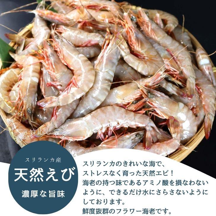 天然有頭海老 1.5kg 80尾 長さ12cm〜13cm！ 冷凍えび スリランカ バーベキュー エビフライ 塩焼き 天ぷら おせち 海鮮 天然えび 業務用 |  | 08