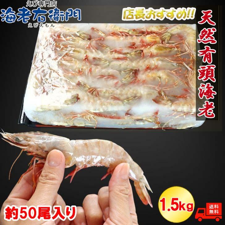 天然有頭海老 1.5kg 50尾 長さ16cm級！ 冷凍えび スリランカ バーベキュー エビフライ 塩焼き 天ぷら おせち 業務用 |  | 02