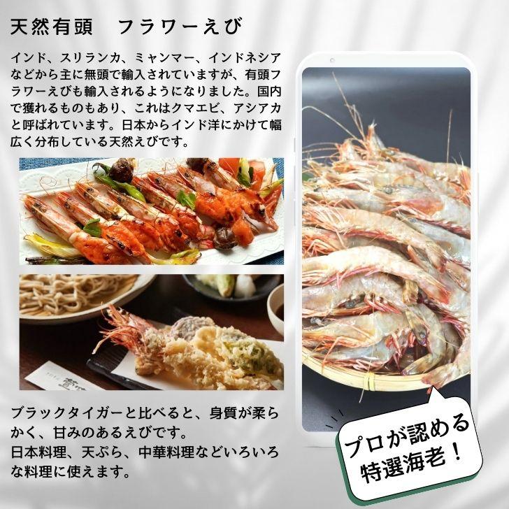 天然有頭海老 1.5kg 50尾 長さ16cm級！ 冷凍えび スリランカ バーベキュー エビフライ 塩焼き 天ぷら おせち 業務用 |  | 07