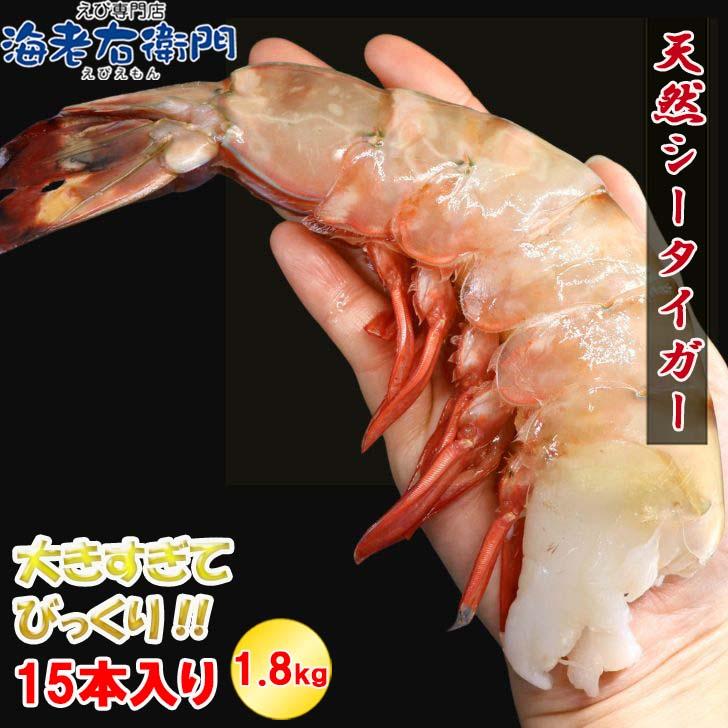 超巨大海老 約15尾入り 当店最大サイズ 天然シータイガー 無頭えび 1.8kg 超超超特大サイズ 天然 ブラックタイガー 高級 海鮮 バーベキュー 冷凍エビ 業務用 | 