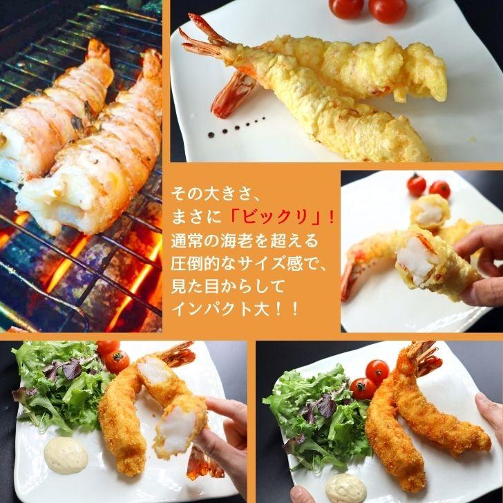 超巨大海老 約15尾入り 当店最大サイズ 天然シータイガー 無頭えび 1.8kg 超超超特大サイズ 天然 ブラックタイガー 高級 海鮮 バーベキュー 冷凍エビ 業務用 |  | 11