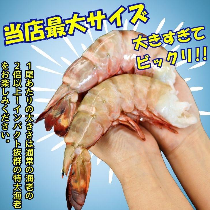超巨大海老 約15尾入り 当店最大サイズ 天然シータイガー 無頭えび 1.8kg 超超超特大サイズ 天然 ブラックタイガー 高級 海鮮 バーベキュー 冷凍エビ 業務用 |  | 02