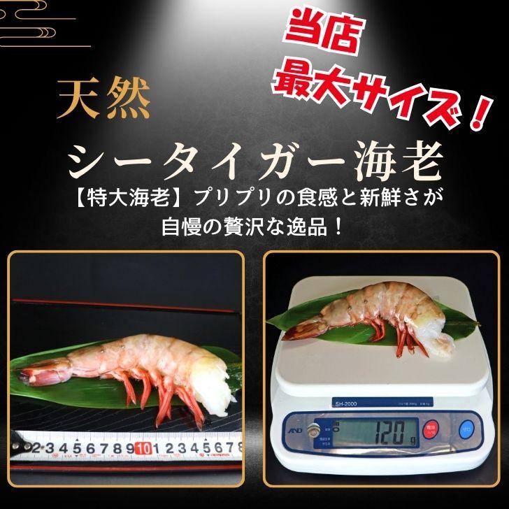 超巨大海老 約15尾入り 当店最大サイズ 天然シータイガー 無頭えび 1.8kg 超超超特大サイズ 天然 ブラックタイガー 高級 海鮮 バーベキュー 冷凍エビ 業務用 |  | 04