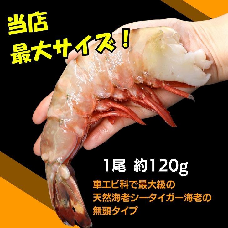 超巨大海老 約15尾入り 当店最大サイズ 天然シータイガー 無頭えび 1.8kg 超超超特大サイズ 天然 ブラックタイガー 高級 海鮮 バーベキュー 冷凍エビ 業務用 |  | 05