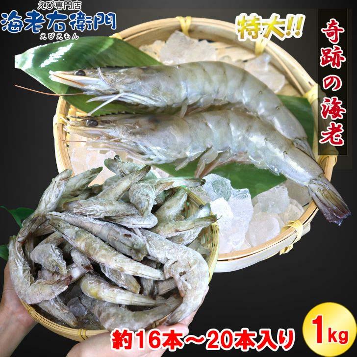 奇跡の海老 有頭えび バラ凍結 1kg 入り 16/20 約16尾〜20尾入り 特大 殻付き 海老 冷凍えび 殻付きエビ 特大えび  エビフライ 天ぷら おせち 業務用 |  | 10