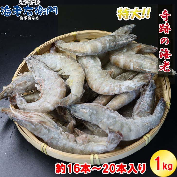 奇跡の海老 有頭えび バラ凍結 1kg 入り 16/20 約16尾〜20尾入り 特大 殻付き 海老 冷凍えび 殻付きエビ 特大えび  エビフライ 天ぷら おせち 業務用 |  | 15