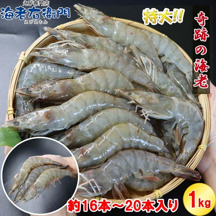 奇跡の海老 有頭えび バラ凍結 1kg 入り 16/20 約16尾〜20尾入り 特大 殻付き 海老 冷凍えび 殻付きエビ 特大えび  エビフライ 天ぷら おせち 業務用 |  | 16