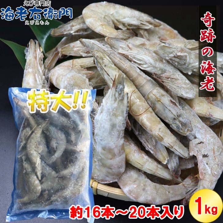 奇跡の海老 有頭えび バラ凍結 1kg 入り 16/20 約16尾〜20尾入り 特大 殻付き 海老 冷凍えび 殻付きエビ 特大えび  エビフライ 天ぷら おせち 業務用 |  | 17