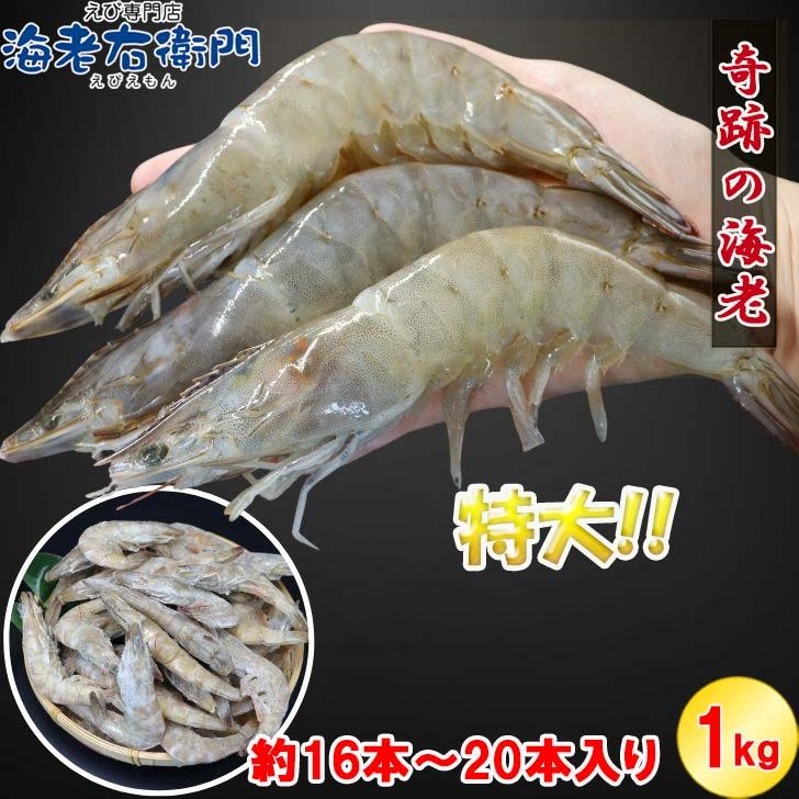 奇跡の海老 有頭えび バラ凍結 1kg 入り 16/20 約16尾〜20尾入り 特大 殻付き 海老 冷凍えび 殻付きエビ 特大えび  エビフライ 天ぷら おせち 業務用 |  | 01