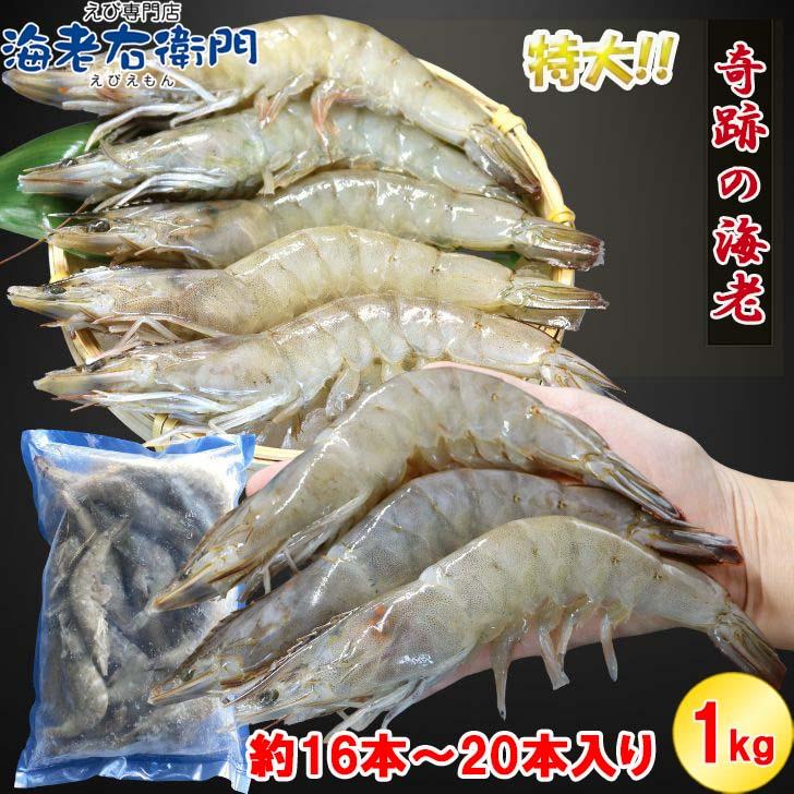 奇跡の海老 有頭えび バラ凍結 1kg 入り 16/20 約16尾〜20尾入り 特大 殻付き 海老 冷凍えび 殻付きエビ 特大えび  エビフライ 天ぷら おせち 業務用 |  | 06