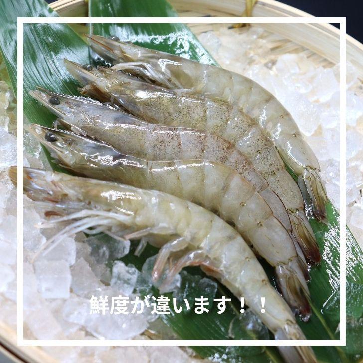 奇跡の海老 有頭えび バラ凍結 1kg 入り 16/20 約16尾〜20尾入り 特大 殻付き 海老 冷凍えび 殻付きエビ 特大えび  エビフライ 天ぷら おせち 業務用 |  | 07