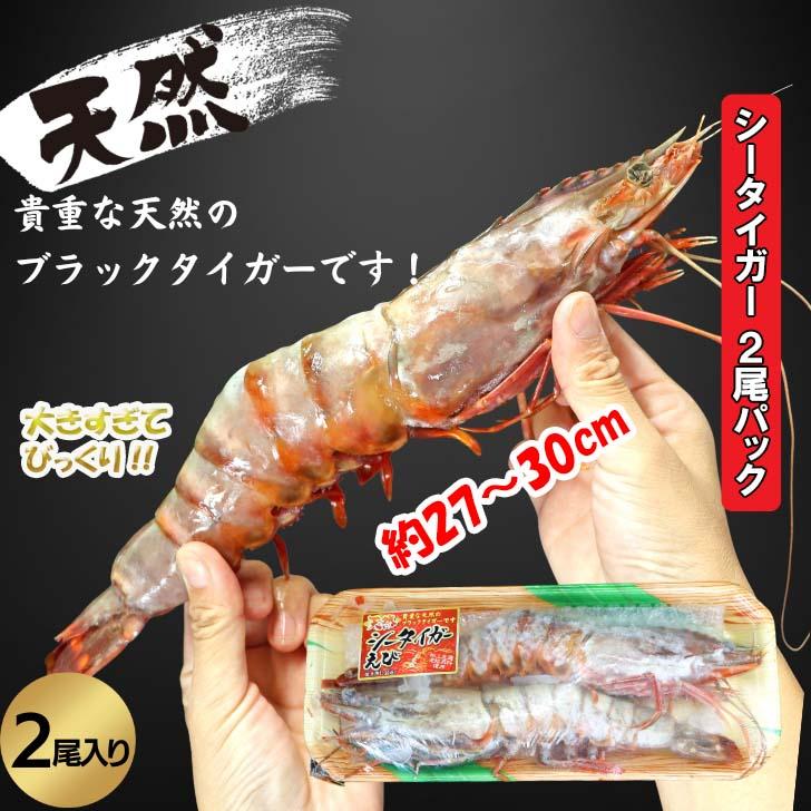 天然シータイガー海老 当店直輸入 有頭えび(2尾入り) 特大 冷凍エビ 超特大 天然有頭 8尾サイズ2尾入りパック スリランカ バーベキュー エビフライ 業務用 | 