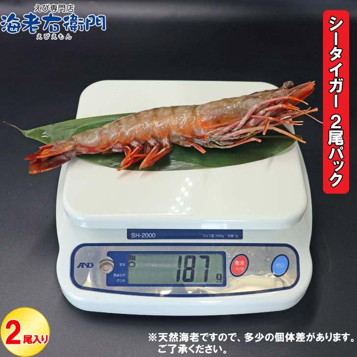 天然シータイガー海老 当店直輸入 有頭えび(2尾入り) 特大 冷凍エビ 超特大 天然有頭 8尾サイズ2尾入りパック スリランカ バーベキュー エビフライ 業務用 |  | 11