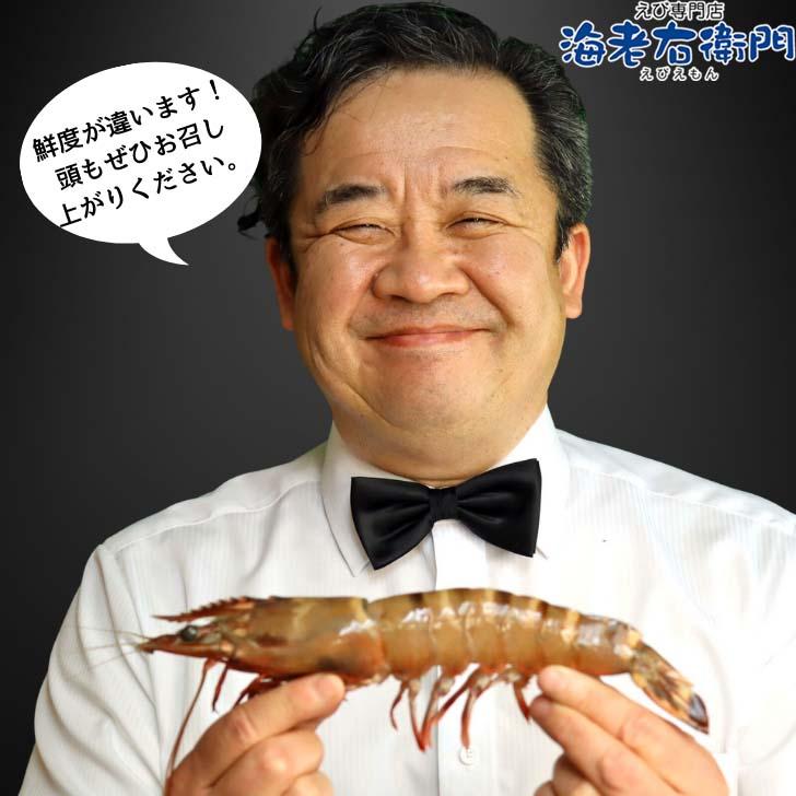 天然シータイガー海老 当店直輸入 有頭えび(2尾入り) 特大 冷凍エビ 超特大 天然有頭 8尾サイズ2尾入りパック スリランカ バーベキュー エビフライ 業務用 |  | 15