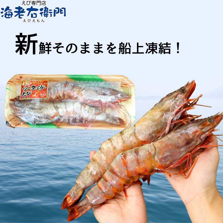 天然シータイガー海老 当店直輸入 有頭えび(2尾入り) 特大 冷凍エビ 超特大 天然有頭 8尾サイズ2尾入りパック スリランカ バーベキュー エビフライ 業務用 |  | 16