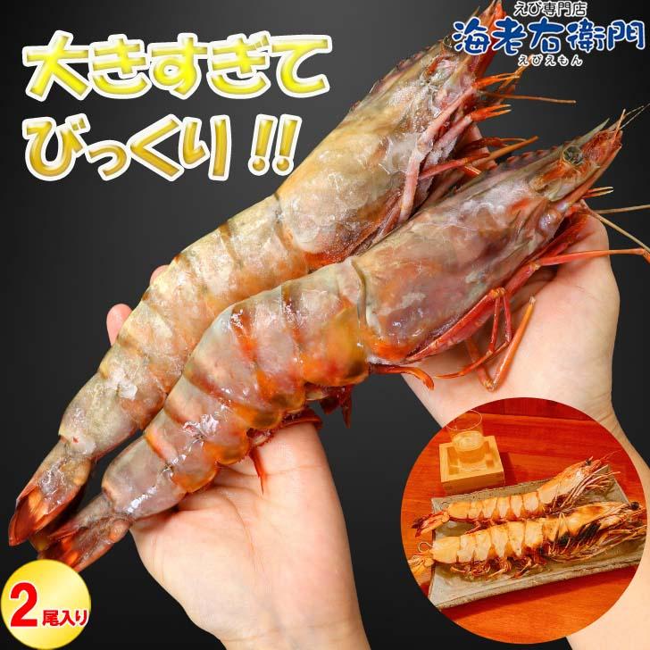 天然シータイガー海老 当店直輸入 有頭えび(2尾入り) 特大 冷凍エビ 超特大 天然有頭 8尾サイズ2尾入りパック スリランカ バーベキュー エビフライ 業務用 |  | 05