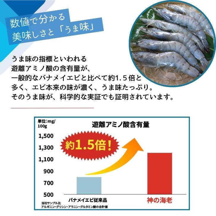 神の海老 1kg (約20尾〜30尾) 有頭エビ えび 海老 刺身 バナメイ プリプリ 生食可 ギフト お歳暮 御祝 養殖 海水養殖 高鮮度 急速冷凍 お取り寄せ 業務用 |  | 08