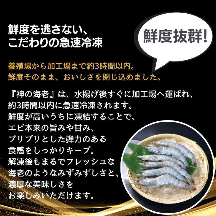 神の海老 1kg (約20尾〜30尾) 有頭エビ えび 海老 刺身 バナメイ プリプリ 生食可 ギフト お歳暮 御祝 養殖 海水養殖 高鮮度 急速冷凍 お取り寄せ 業務用 |  | 13