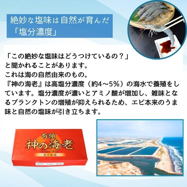 神の海老 1kg (約20尾〜30尾) 有頭エビ えび 海老 刺身 バナメイ プリプリ 生食可 ギフト お歳暮 御祝 養殖 海水養殖 高鮮度 急速冷凍 お取り寄せ 業務用 |  | 09