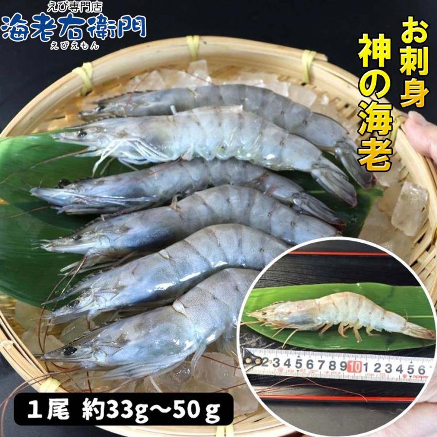 神の海老 1kg (約20尾〜30尾) 有頭エビ えび 海老 刺身 バナメイ プリプリ 生食可 ギフト お歳暮 御祝 養殖 海水養殖 高鮮度 急速冷凍 お取り寄せ 業務用 |  | 05