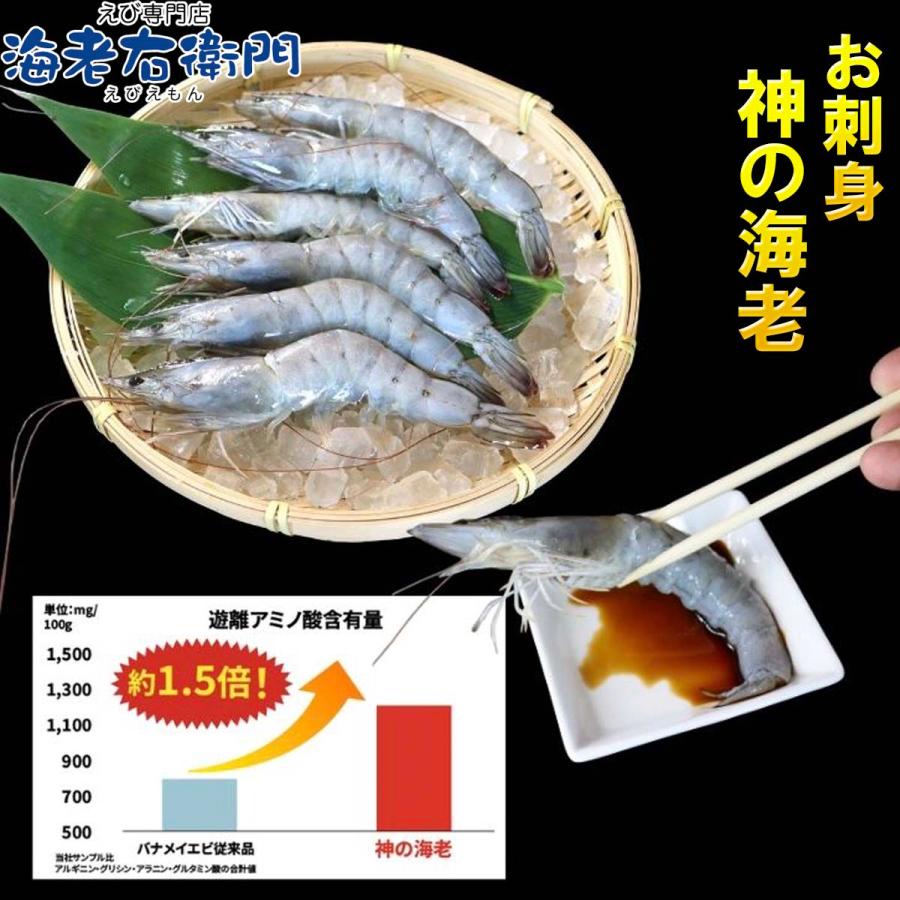 神の海老 1kg (約20尾〜30尾) 有頭エビ えび 海老 刺身 バナメイ プリプリ 生食可 ギフト お歳暮 御祝 養殖 海水養殖 高鮮度 急速冷凍 お取り寄せ 業務用 |  | 02