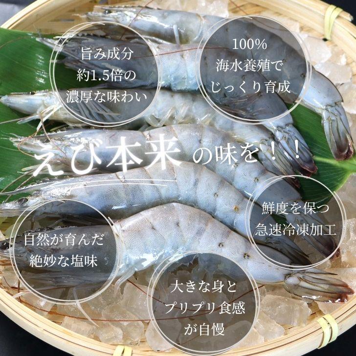 神の海老 1kg (約20尾〜30尾) 有頭エビ えび 海老 刺身 バナメイ プリプリ 生食可 ギフト お歳暮 御祝 養殖 海水養殖 高鮮度 急速冷凍 お取り寄せ 業務用 |  | 03