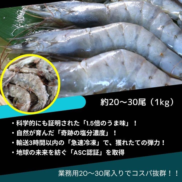 神の海老 1kg (約20尾〜30尾) 有頭エビ えび 海老 刺身 バナメイ プリプリ 生食可 ギフト お歳暮 御祝 養殖 海水養殖 高鮮度 急速冷凍 お取り寄せ 業務用 |  | 12