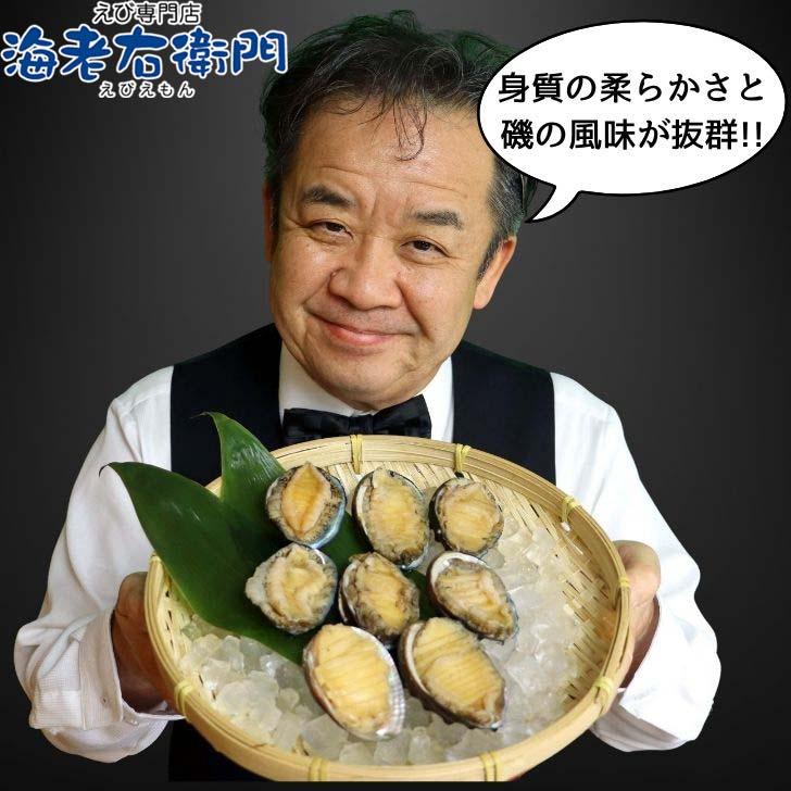活き〆蝦夷あわび 冷凍あわび スライス 刺身用 約27g×8個入 肉厚で柔らかい コリコリ食感 刺身 酒蒸し 炊き込み 高級食材 殻付きあわび エゾアワビ |  | 15