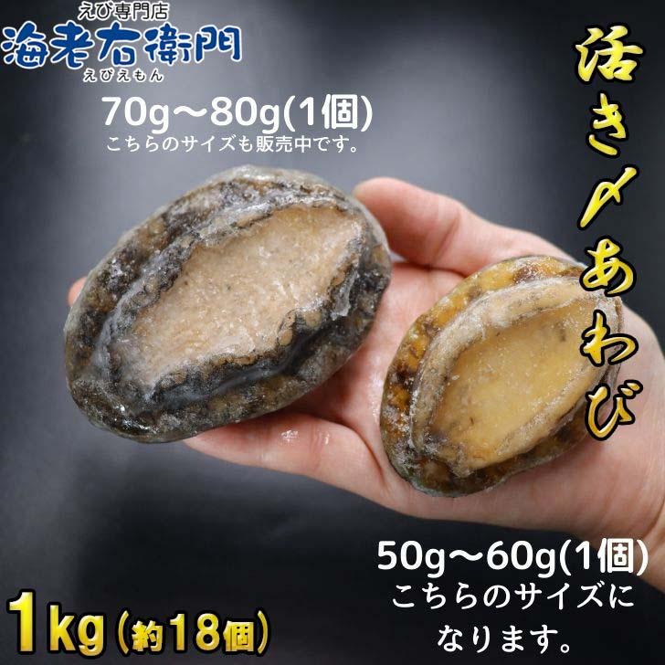 活き〆あわび 1kg 50-60g(1個) 生食可 お刺身やステーキに！ 送料無料 養殖 業務用 殻付きあわび エゾアワビ 蝦夷鮑 アワビ 鮑 冷凍 業務用 |  | 14