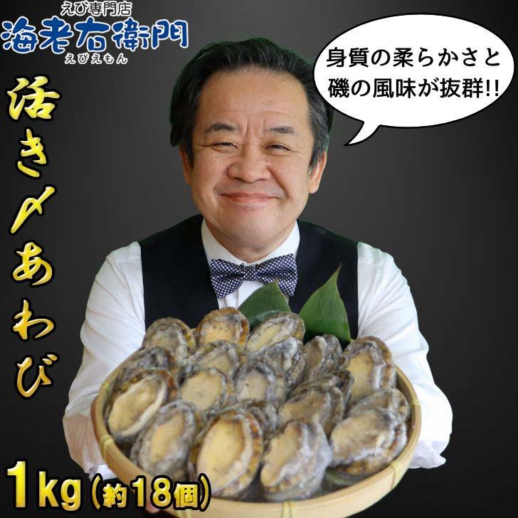 活き〆あわび 1kg 50-60g(1個) 生食可 お刺身やステーキに！ 送料無料 養殖 業務用 殻付きあわび エゾアワビ 蝦夷鮑 アワビ 鮑 冷凍 業務用 |  | 15