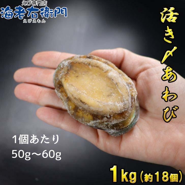 活き〆あわび 1kg 50-60g(1個) 生食可 お刺身やステーキに！ 送料無料 養殖 業務用 殻付きあわび エゾアワビ 蝦夷鮑 アワビ 鮑 冷凍 業務用 |  | 02