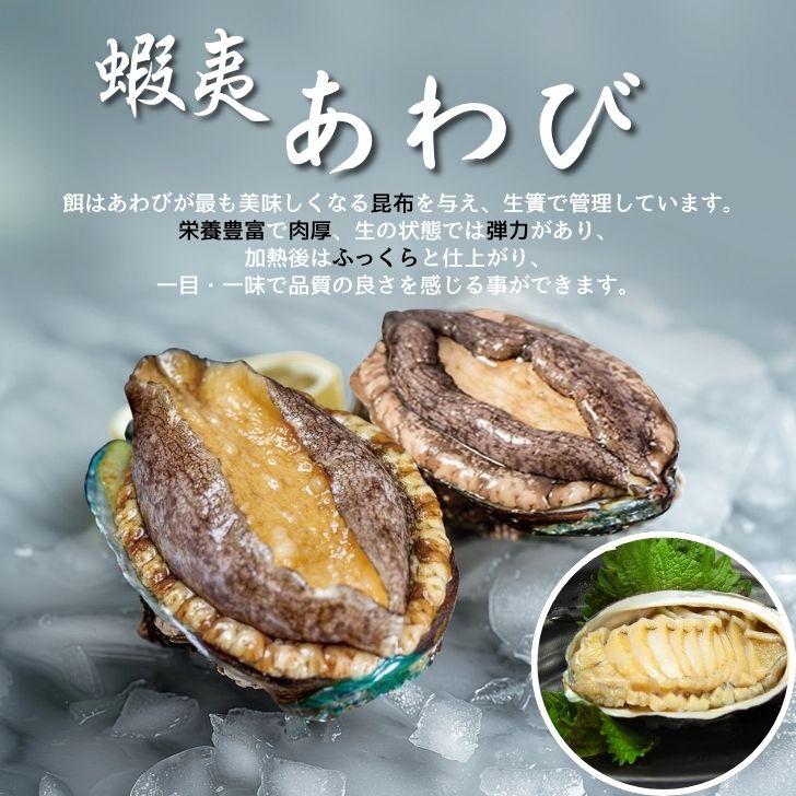 活き〆あわび 1kg 50-60g(1個) 生食可 お刺身やステーキに！ 送料無料 養殖 業務用 殻付きあわび エゾアワビ 蝦夷鮑 アワビ 鮑 冷凍 業務用 |  | 03
