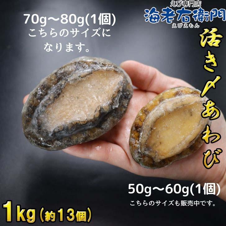 活き〆あわび 1kg 約13個 70-80g(1個) 生食可 お刺身やステーキに！ 送料無料 養殖 業務用 殻付きあわび エゾアワビ 蝦夷鮑 アワビ 鮑 冷凍 お刺身 業務用 |  | 14