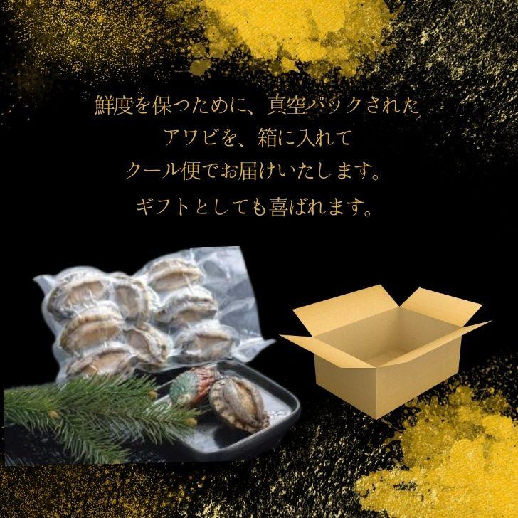 活き〆あわび 1kg 約13個 70-80g(1個) 生食可 お刺身やステーキに！ 送料無料 養殖 業務用 殻付きあわび エゾアワビ 蝦夷鮑 アワビ 鮑 冷凍 お刺身 業務用 |  | 16