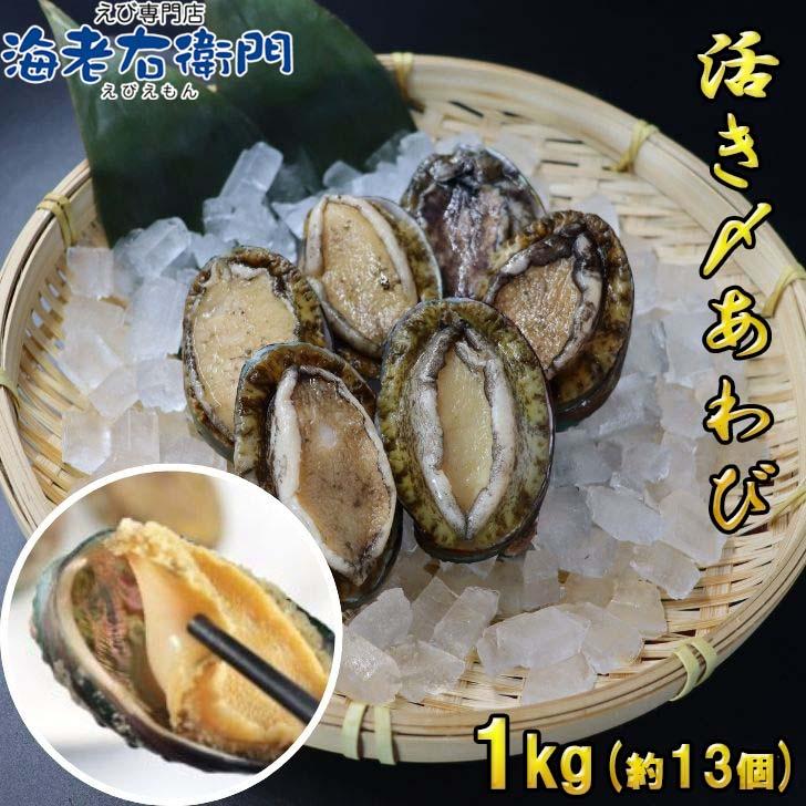 活き〆あわび 1kg 約13個 70-80g(1個) 生食可 お刺身やステーキに！ 送料無料 養殖 業務用 殻付きあわび エゾアワビ 蝦夷鮑 アワビ 鮑 冷凍 お刺身 業務用 |  | 07