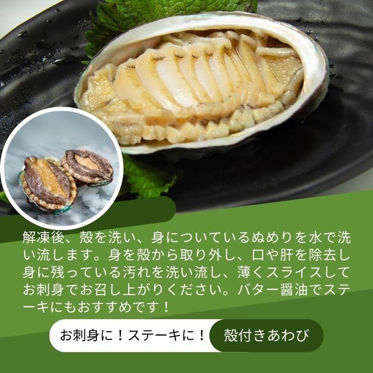 活き〆あわび 1kg 約13個 70-80g(1個) 生食可 お刺身やステーキに！ 送料無料 養殖 業務用 殻付きあわび エゾアワビ 蝦夷鮑 アワビ 鮑 冷凍 お刺身 業務用 |  | 09