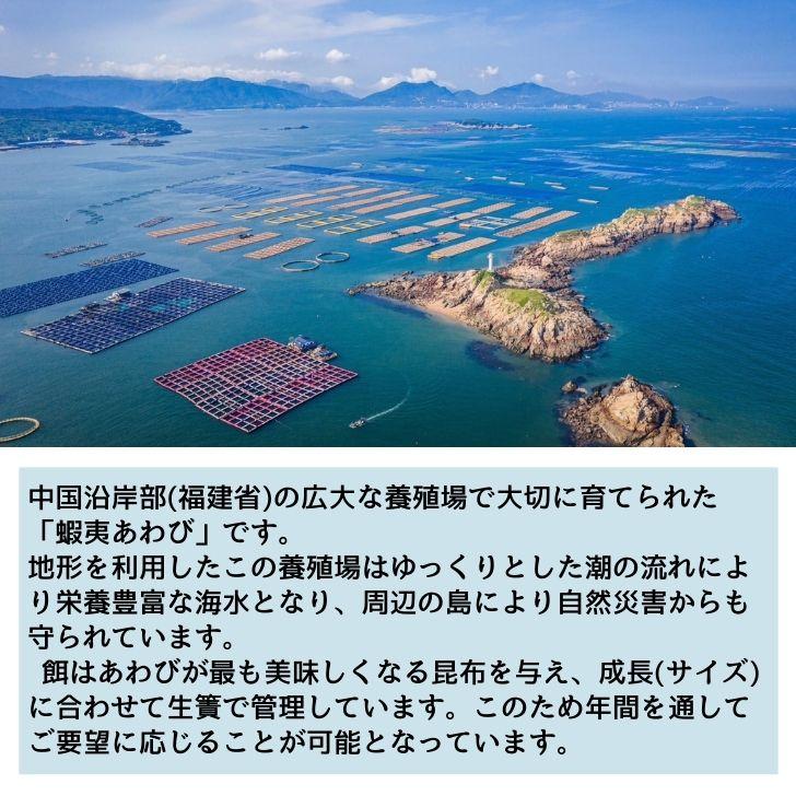 活き〆蝦夷あわびスライス 刺身用 120g（20枚入り）約6g/枚 冷凍あわび 解凍するだけで食べられる あわび 刺身用 冷凍 活〆  寿司ネタ 海鮮丼 業務用 |  | 03