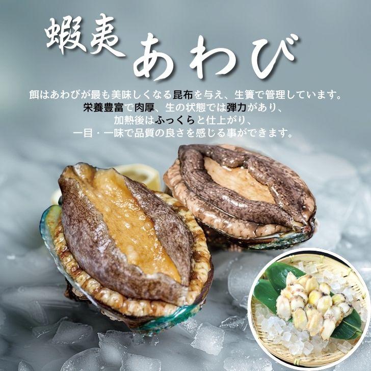 活き〆蝦夷あわびスライス 刺身用 120g（20枚入り）約6g/枚 冷凍あわび 解凍するだけで食べられる あわび 刺身用 冷凍 活〆  寿司ネタ 海鮮丼 業務用 |  | 02