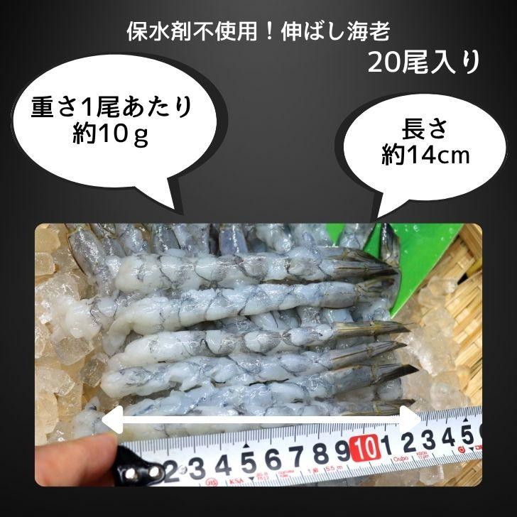 伸ばし海老  30尾 300g 31/40サイズ 約14cm 下処理済み のばしえび むきえび 手間をかけずに、エビフライ、天ぷらができます！ 業務用 |  | 06