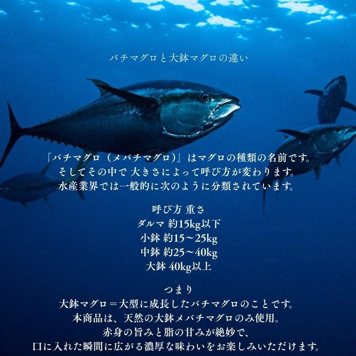 天然大鉢メバチマグロ切り落とし500g 刺身用 カット済 解凍するだけ オオバチマグロ 赤身 訳あり 中トロ 甘み濃厚 海鮮丼 寿司 お取り寄せ 冷凍 業務用 |  | 03