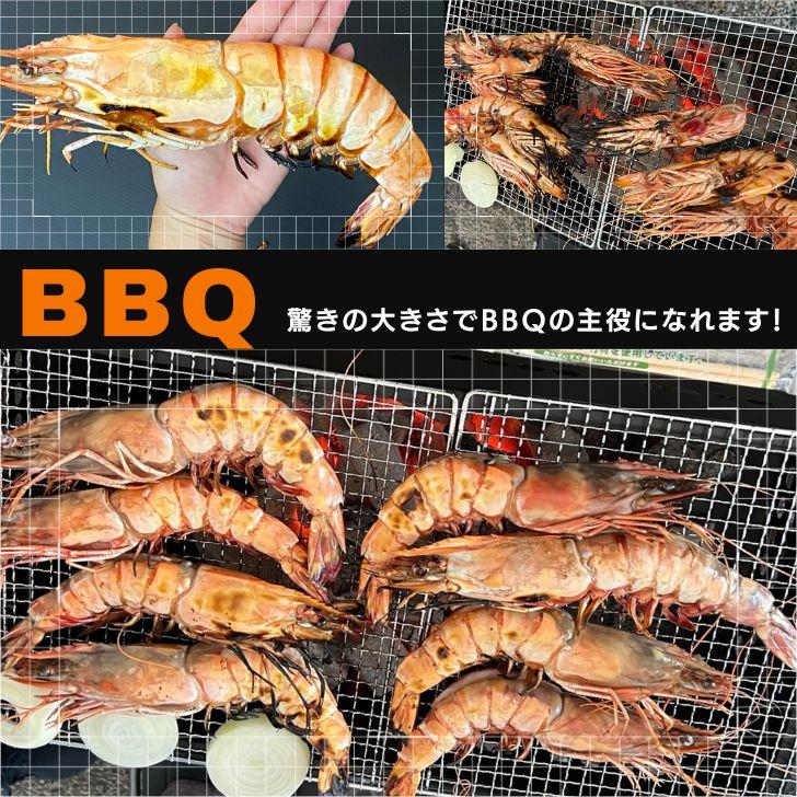 シータイガー 有頭 特大 冷凍エビ 超超特大 船内凍結の高い鮮度 エビ 天然有頭シータイガー 1.5kg 8尾サイズ 海老 冷凍えび 業務用 |  | 15